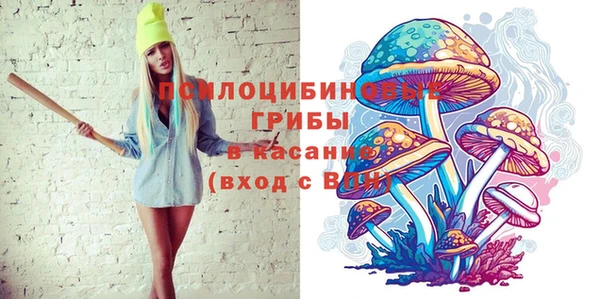 PSILOCYBIN Нягань