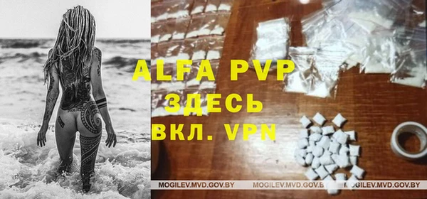 твердый Осташков