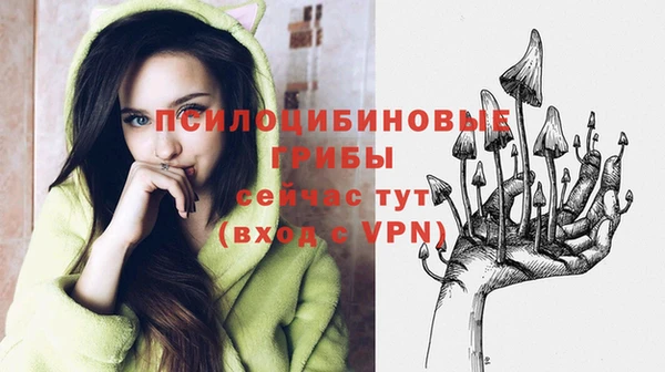 альфа пвп Осинники