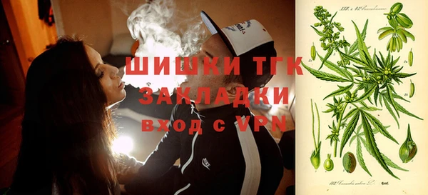 твердый Осташков
