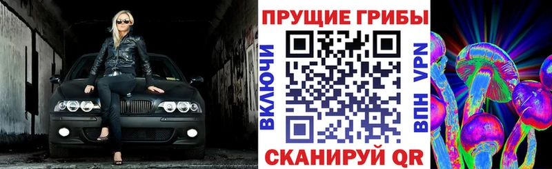 закладки  Новохопёрск  Псилоцибиновые грибы мухоморы 